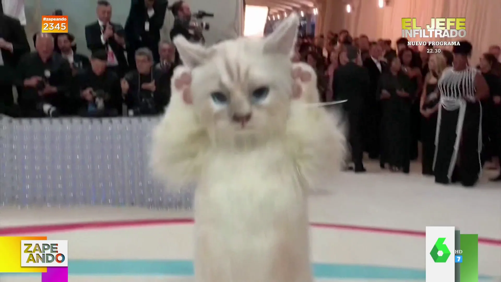 Jared Leto sorprende en la alfombra roja de la Gala Met con un disfraz de gato: ¡Es chulísimo!