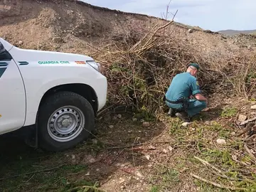 Investigado un ganadero en León por enterrar viva a su perra en un vertedero