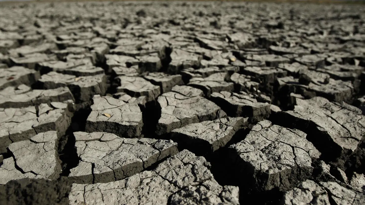 Imagen de la sequía Las graves consecuencias del fenómeno del Niño del que alerta la Organización Meteorológica Mundial