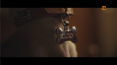 Anatomía de Ricky, el perro y la mermelada Anatomía de Ricky, el perro y la mermelada