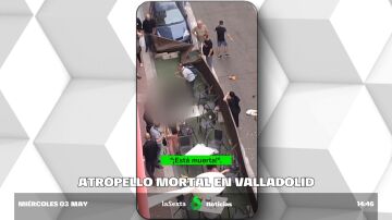 atropello Valladolid