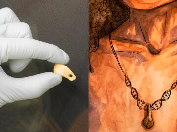 El diente de ciervo perforado descubierto en la cueva de Denisova y recreación artística del colgante con un cordón de ADN