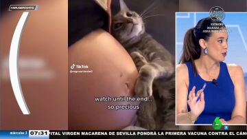 El tierno vídeo viral del gato que acaricia la tripa de su dueña embarazada que Alfonso Arús dedica a Alba Gutiérrez