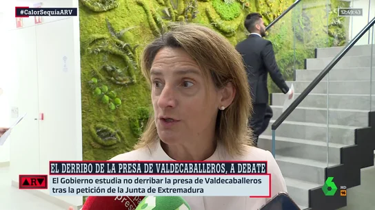 Teresa Ribera ARV Teresa Ribera ARV