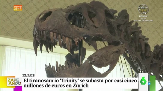 'Trinity', el primer T-Rex subastado en Europa: los esqueletos de dinosaurios son "tendencia" y a precios "astronómicos" 'Trinity', el primer T-Rex subastado en Europa: los esqueletos de dinosaurios son "tendencia" y a precios "astronómicos"
