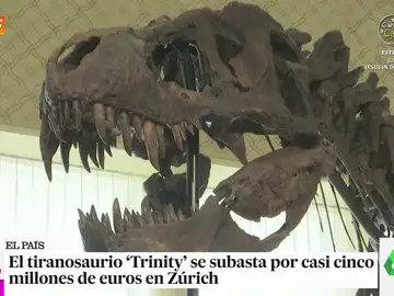 &#39;Trinity&#39;, el primer T-Rex subastado en Europa: los esqueletos de dinosaurios son &quot;tendencia&quot; y a precios &quot;astronómicos&quot;