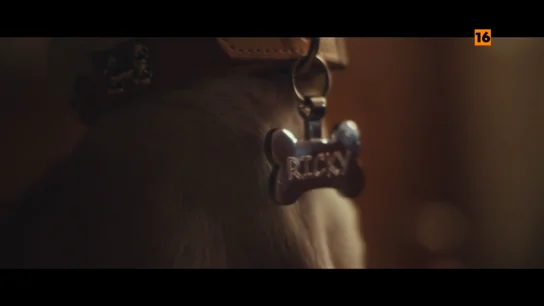 Hoy, en 'Anatomía de...', Mamen Mendizábal desentraña el bulo de 'Ricky Martin, el perro y la mermelada' Hoy, en 'Anatomía de...', Mamen Mendizábal desentraña el bulo de 'Ricky Martin, el perro y la mermelada'