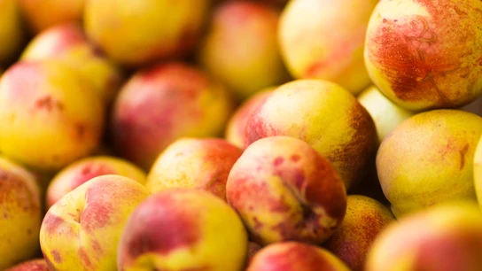 La nectarina es una de las frutas clave del mes de mayo La nectarina es una de las frutas clave del mes de mayo