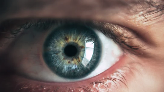 No, las pupilas no se dilatan por la luz del sol, como ha dicho Nuñez Feijóo: estas son realmente las razones No, las pupilas no se dilatan por la luz del sol, como ha dicho Nuñez Feijóo: estas son realmente las razones