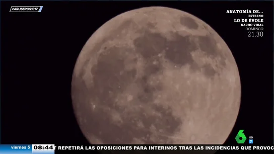 Luna llena de flores y eclipse penumbral: esta noche, no olvides mirar al cielo Luna llena de flores y eclipse penumbral: esta noche, no olvides mirar al cielo