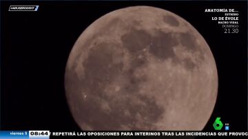 Luna llena de flores y eclipse penumbral: esta noche, no olvides mirar al cielo