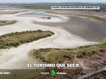 Matalascañas, o cómo la llegada masiva de turistas también afecta a la sequía de Doñana