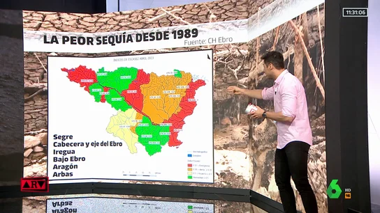 radiografia ebro radiografia ebro