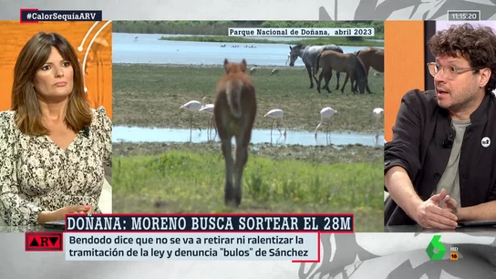 Fernando Berlín en ARV Fernando Berlín en ARV