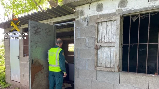 Detenido en Oia (Pontevedra) por dejar sin comida a cinco perros que se devoraron hasta morir Detenido en Oia (Pontevedra) por dejar sin comida a cinco perros que se devoraron hasta morir