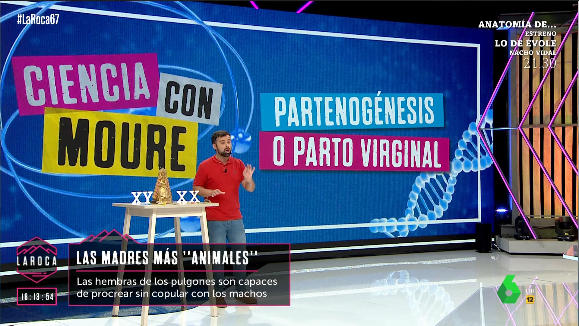 De los pulgones a la Purísima Concepción: Ricardo Moure explica qué especies pueden reproducirse mediante la partenogénesis