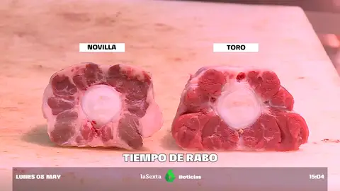 vídeo rabo de toro