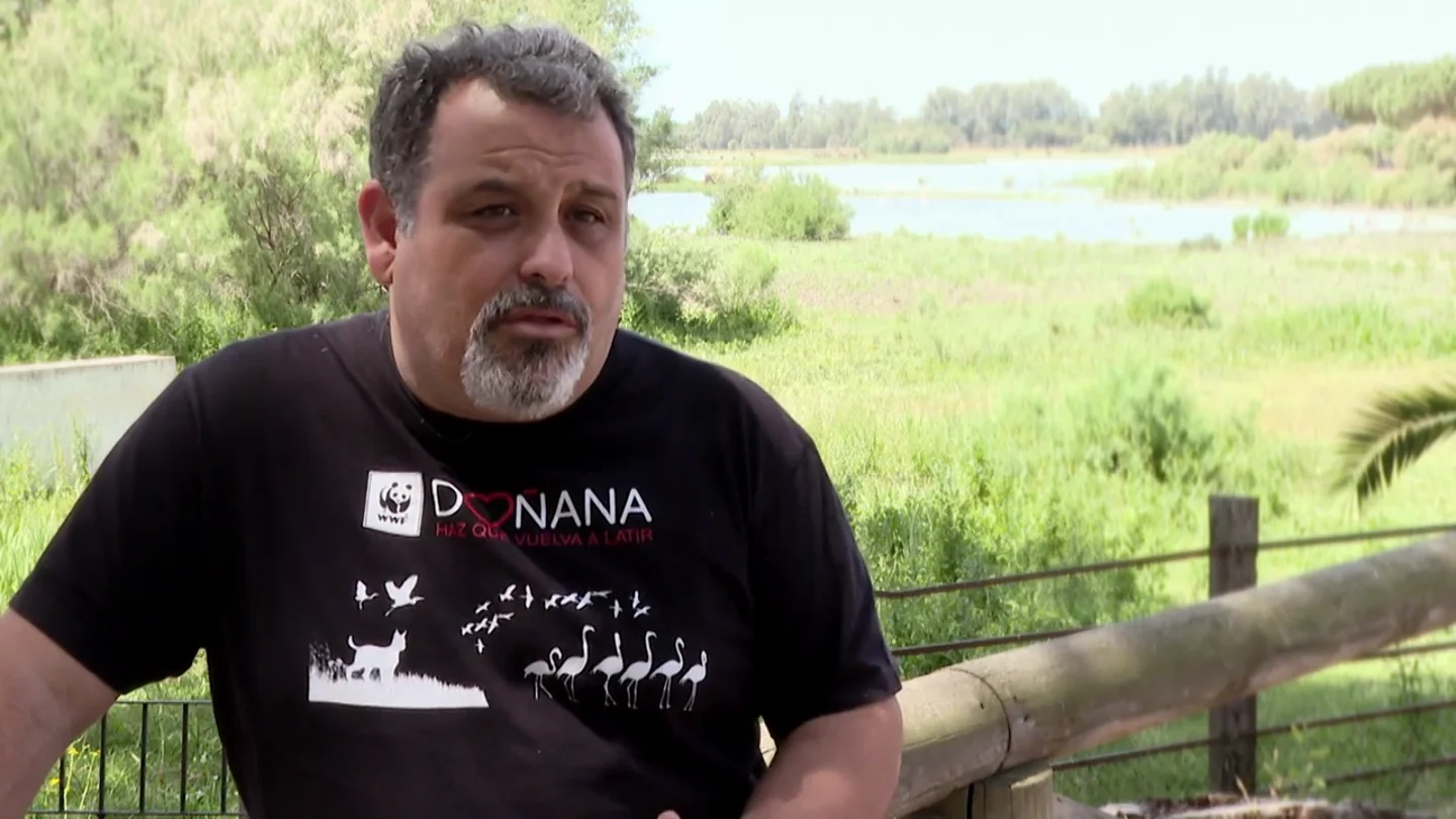 Un experto advierte sobre el acuífero de Doñana: "Si sigue así muy pronto habrá un colapso ambiental y económico" La proposición de PP y Vox pretende que unas tierras que quedaron pintadas en un mapa de secano, pasen a ser de regadío", explica en este vídeo Juanjo Carmona, portavoz de WWF en Doñana, que avisa sobre el acuífero: "Está muy mal".