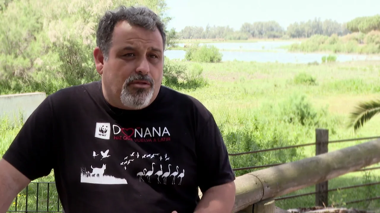 La proposición de PP y Vox pretende que unas tierras que quedaron pintadas en un mapa de secano, pasen a ser de regadío", explica en este vídeo Juanjo Carmona, portavoz de WWF en Doñana, que avisa sobre el acuífero: "Está muy mal".