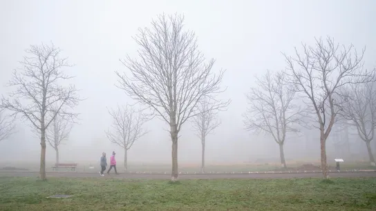 Imagen de archivo de dos mujeres paseando entre la niebla en Vitoria Imagen de archivo de dos mujeres paseando entre la niebla en Vitoria
