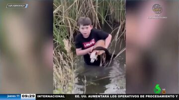 El heroico gesto de este niño para rescatar a una perrita anciana y ciega de un estanque