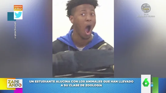 La reacción viral de un joven al ver animales vivos en clase La reacción viral de un joven al ver animales vivos en clase