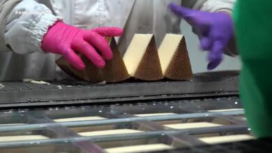 Los agujeros del queso Equipo de Investigaci&oacute;n