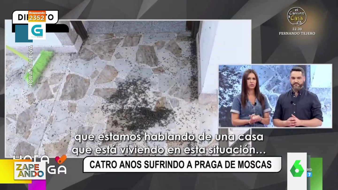 La reacción de un reportero al ver la plaga de moscas de Narón, en A Coruña La reacción de un reportero al ver la plaga de moscas de Narón, en A Coruña
