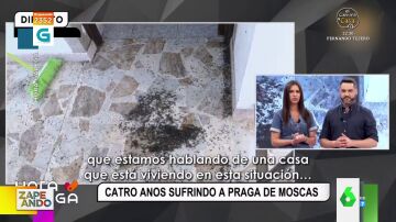 La reacción de un reportero al ver la plaga de moscas de Narón, en A Coruña