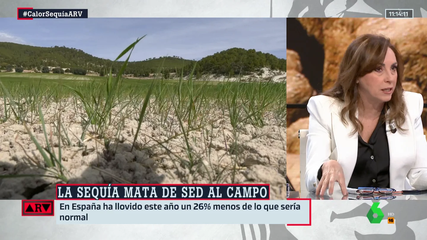Angélica Rubio, sobre la sequía en España: "Habrá que hacer muchos cambios" Angélica Rubio, sobre la sequía en España: "Habrá que hacer muchos cambios"