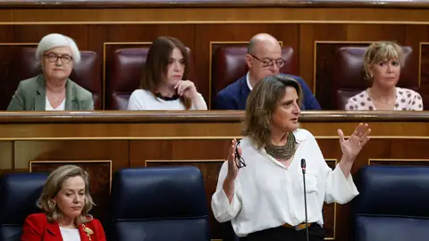 La vicepresidenta tercera y ministra para la Transición Ecológica y el Reto Demográfico, Teresa Ribera, en la sesión de control al Gobierno en el Congreso