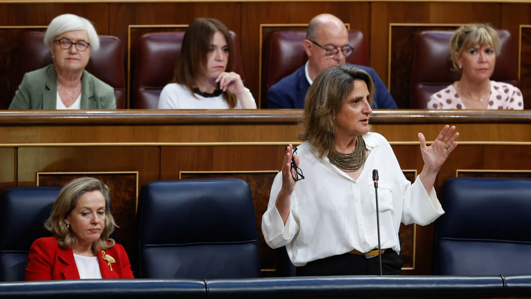 La vicepresidenta tercera y ministra para la Transición Ecológica y el Reto Demográfico, Teresa Ribera, en la sesión de control al Gobierno en el Congreso