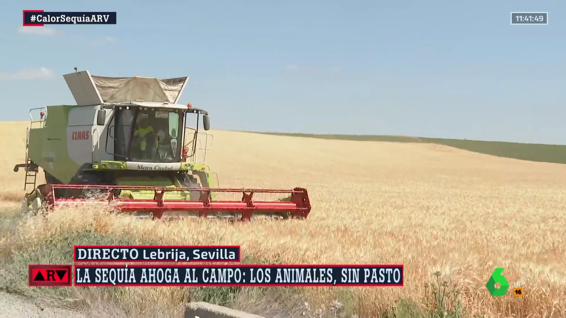 Sequía en el campo