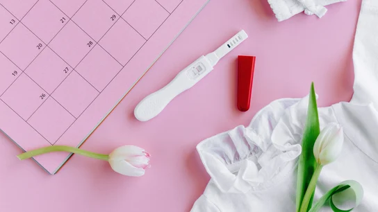 Cuáles son los días fértiles de la mujer Cuáles son los días fértiles de la mujer