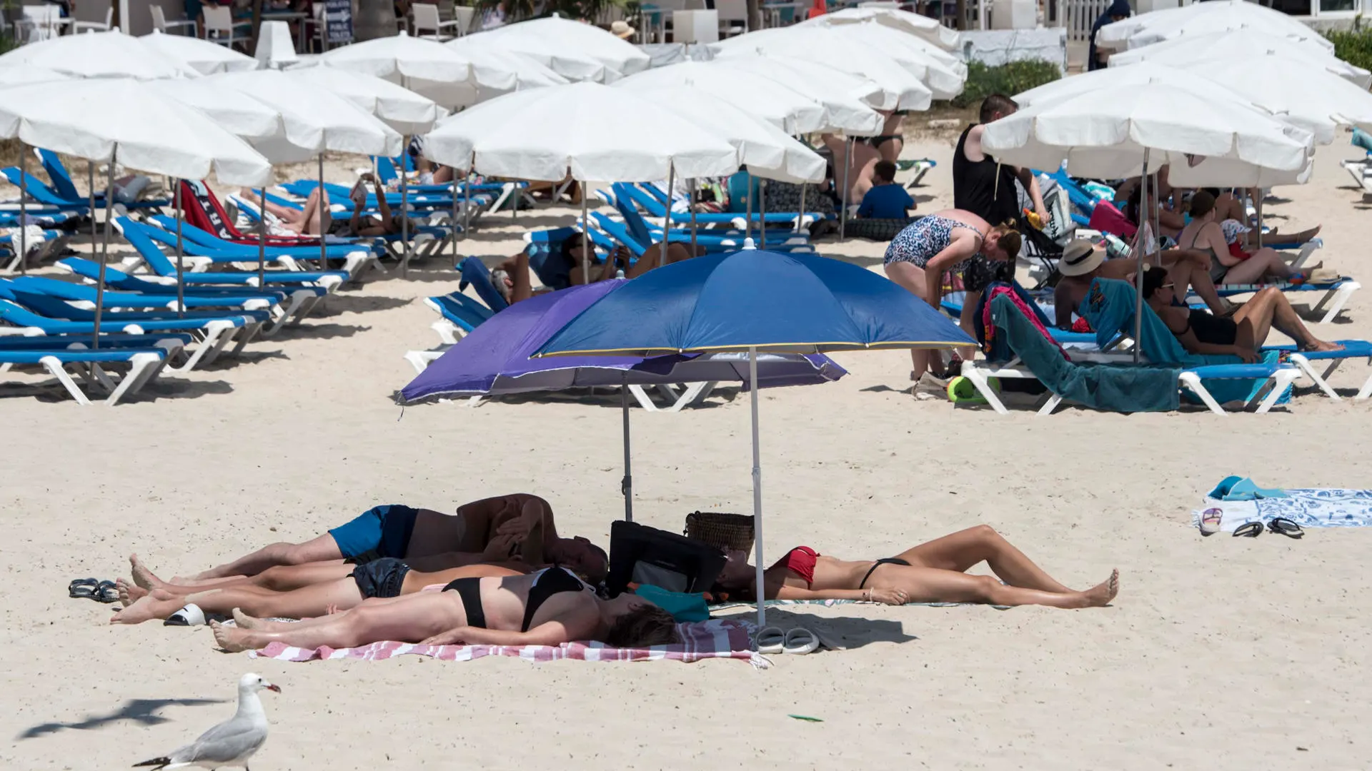 Imagen de archivo de varias personas tomando el sol en la playa Punta Prima de Menorca