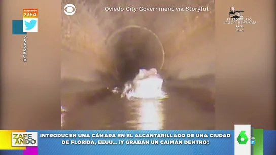 La prueba definitiva de que hay cocodrilos viviendo en las alcantarillas La prueba definitiva de que hay cocodrilos viviendo en las alcantarillas