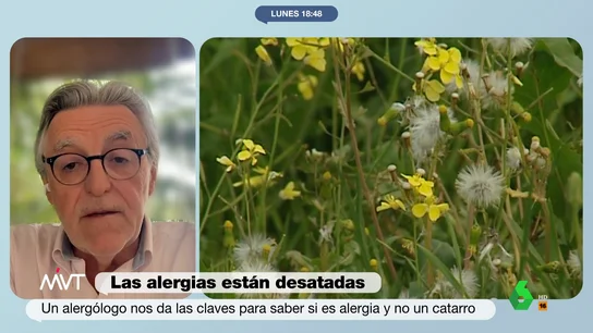 Joaquín Sastre, jefe de Servicios de Alergia de la Fundación Jiménez Díaz Joaquín Sastre, jefe de Servicios de Alergia de la Fundación Jiménez Díaz