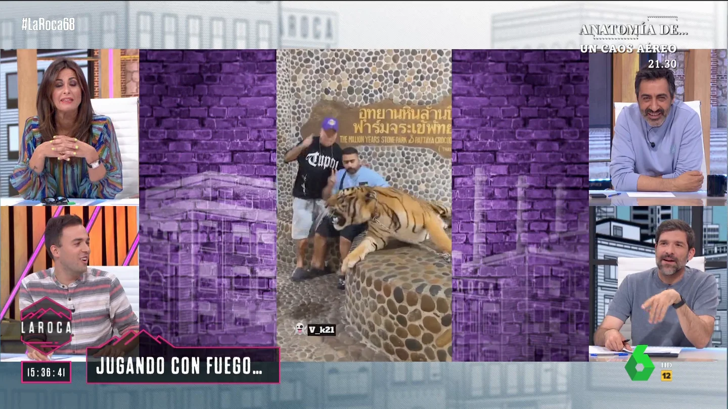 Nuria Roca, al ver la sorprendente reacción de un tigre con dos hombres La Roca arrancaba el pasado domingo con un curioso video viral en el que dos hombres intentan hacerse una foto con un auténtico tigre, aunque no termina saliendo como ellos esperaban. La reacción de Nuria Roca al verlo, en este vídeo.