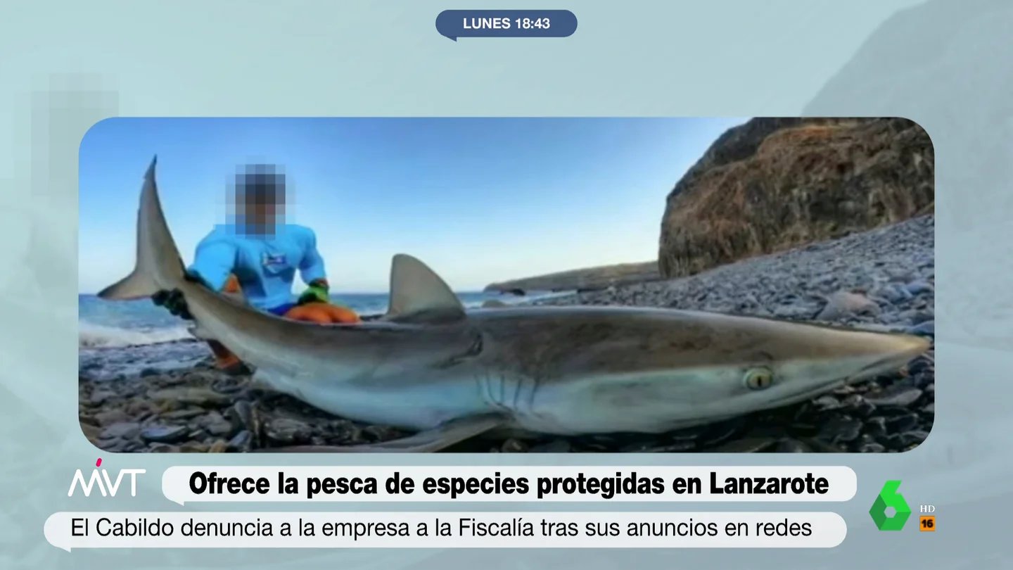 Ofrece la pesca de especies protegidas en Lanzarote Ofrece la pesca de especies protegidas en Lanzarote
