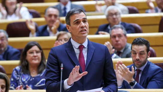 Pedro Sánchez, durante una réplica a Feijóo en el Senado Pedro Sánchez, durante su réplica a Feijóo en el Senado