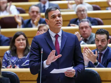 Pedro Sánchez, durante una réplica a Feijóo en el Senado