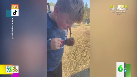"Pensé que sería buena idea pero duele": la ocurrencia viral de un niño con una lagartija "Pensé que sería buena idea pero duele": la ocurrencia viral de un niño con una lagartija