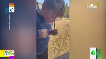 "Pensé que sería buena idea pero duele": la ocurrencia viral de un niño con una lagartija