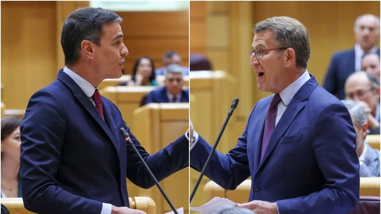 Pedro Sánchez y Alberto Núñez Feijóo, enfrentados en el Senado Pedro Sánchez y Alberto Núñez Feijóo, enfrentados en el Senado