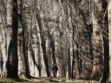 The European Union limits imports of products such as coffee, chocolate or wood if they contribute to deforestation