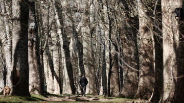 La Unión Europea limita las importaciones de productos como café, chocolate o madera si contribuyen a la deforestación