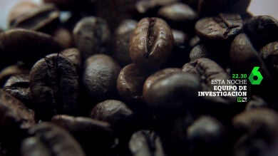 Equipo de Investigaci&oacute;n Caf&eacute;