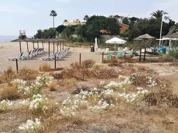 Esas son las playas que estrenarán bandera azul en la España peninsular en 2023 Esas son las playas que estrenarán bandera azul en la España peninsular en 2023