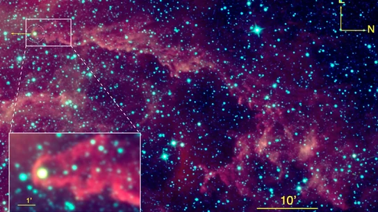 Descubren una estrella joven que es un caso único en el universo conocido Descubren una estrella joven que es un caso único en el universo conocido
