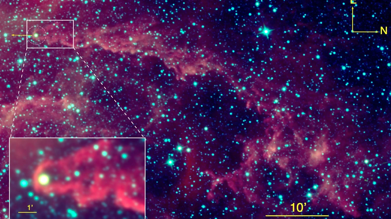 Descubren una estrella joven que es un caso único en el universo conocido